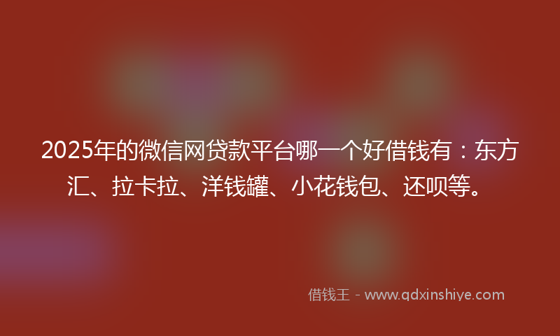 2025年的微信网贷款平台哪一个好借钱有：东方汇、拉卡拉、洋钱罐、小花钱包、还呗等。
