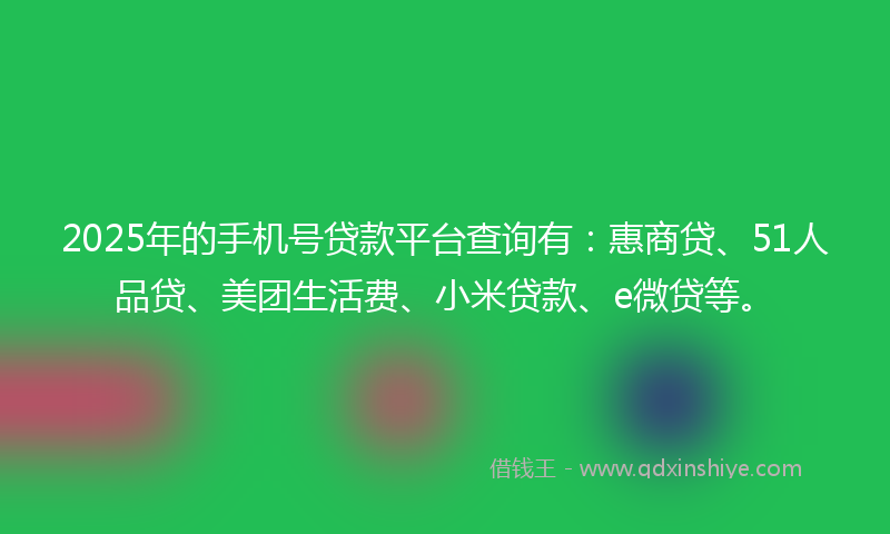 2025年的手机号贷款平台查询有：惠商贷、51人品贷、美团生活费、小米贷款、e微贷等。