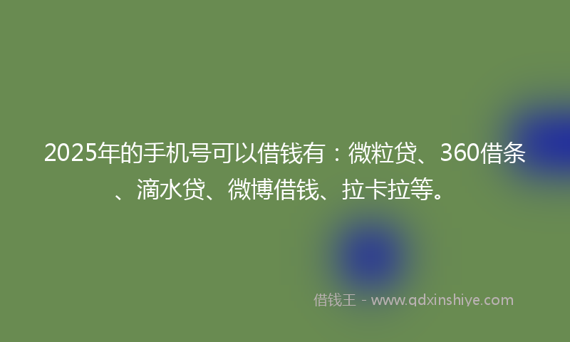 2025年的手机号可以借钱有：微粒贷、360借条、滴水贷、微博借钱、拉卡拉等。