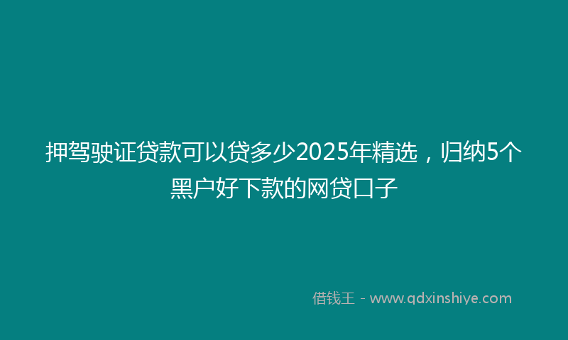 押驾驶证贷款可以贷多少2025年精选，归纳5个黑户好下款的网贷口子