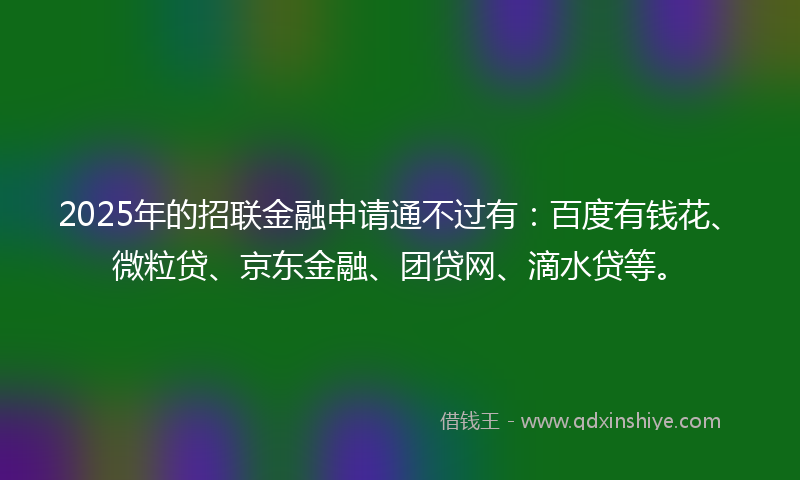 2025年的招联金融申请通不过有：百度有钱花、微粒贷、京东金融、团贷网、滴水贷等。
