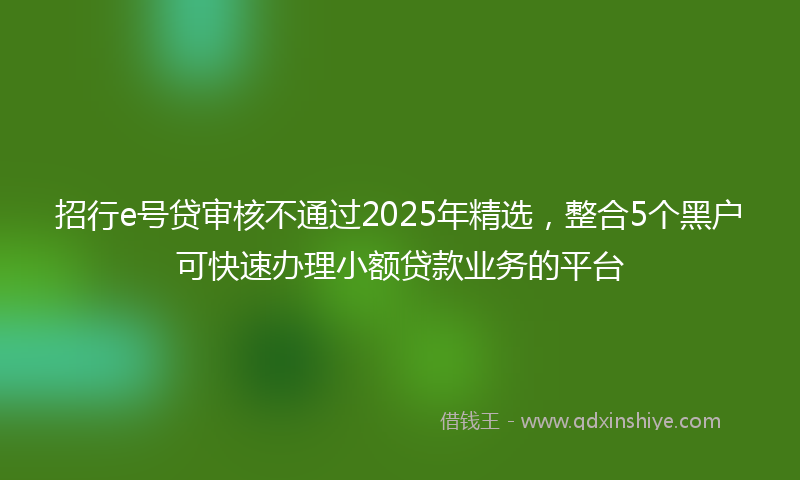 招行e号贷审核不通过2025年精选，整合5个黑户可快速办理小额贷款业务的平台