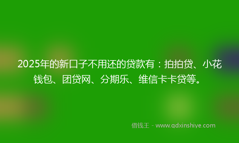 2025年的新口子不用还的贷款有：拍拍贷、小花钱包、团贷网、分期乐、维信卡卡贷等。