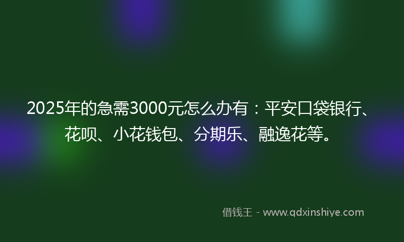 2025年的急需3000元怎么办有：平安口袋银行、花呗、小花钱包、分期乐、融逸花等。