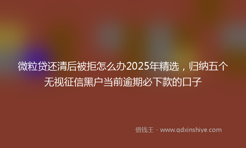 微粒贷还清后被拒怎么办2025年精选，归纳五个无视征信黑户当前逾期必下款的口子