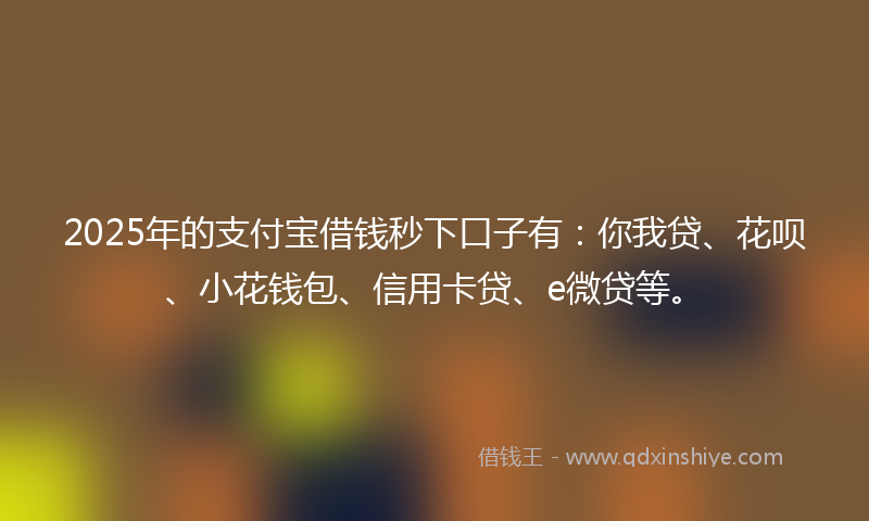 2025年的支付宝借钱秒下口子有：你我贷、花呗、小花钱包、信用卡贷、e微贷等。