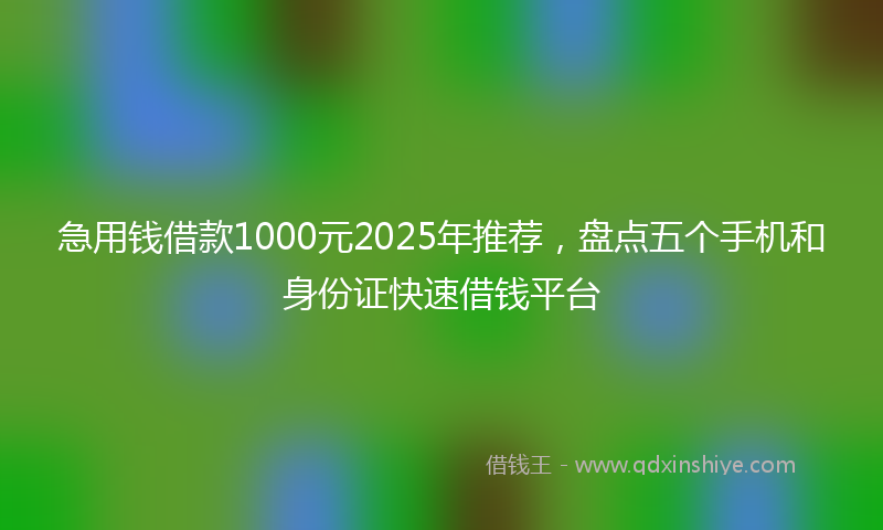 急用钱借款1000元2025年推荐，盘点五个手机和身份证快速借钱平台