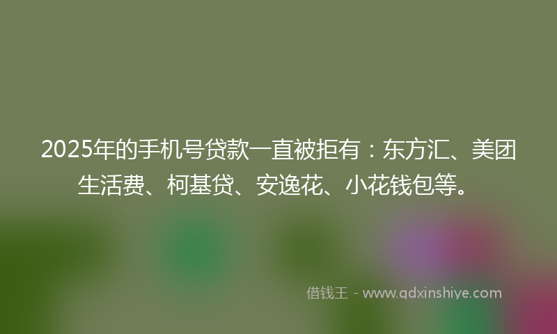 2025年的手机号贷款一直被拒有：东方汇、美团生活费、柯基贷、安逸花、小花钱包等。