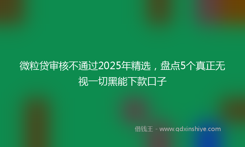 微粒贷审核不通过2025年精选，盘点5个真正无视一切黑能下款口子