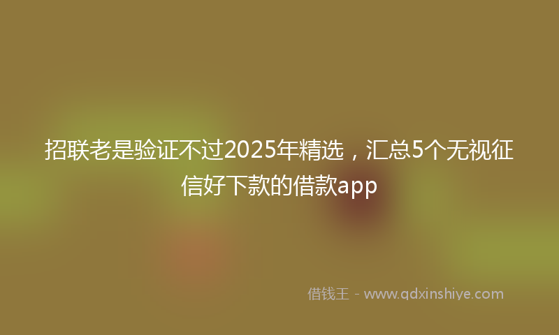 招联老是验证不过2025年精选，汇总5个无视征信好下款的借款app