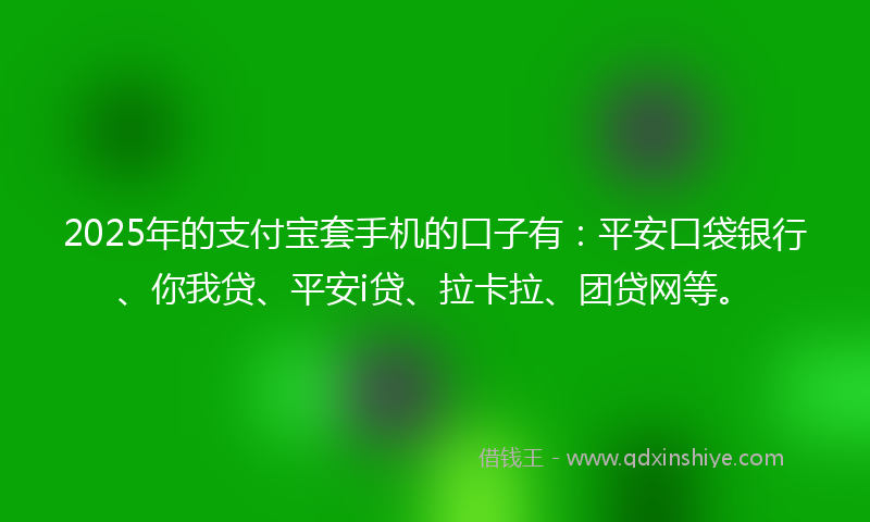 2025年的支付宝套手机的口子有：平安口袋银行、你我贷、平安i贷、拉卡拉、团贷网等。