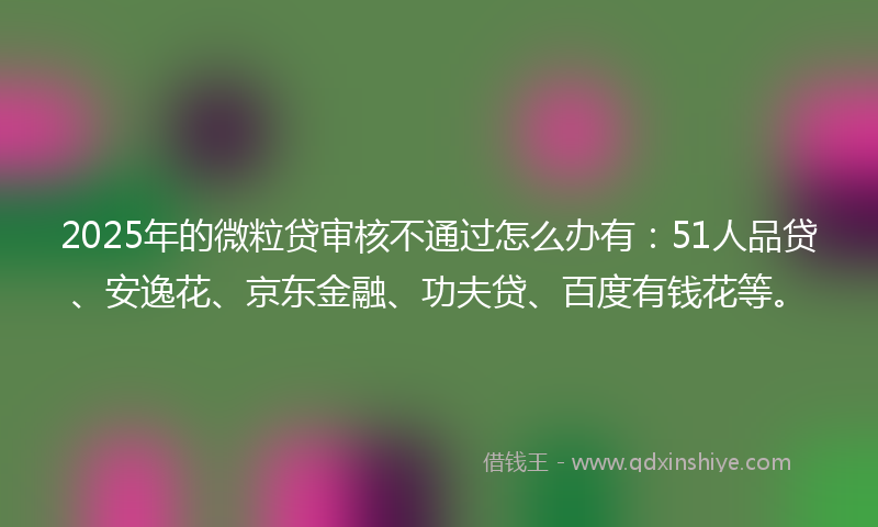 2025年的微粒贷审核不通过怎么办有：51人品贷、安逸花、京东金融、功夫贷、百度有钱花等。