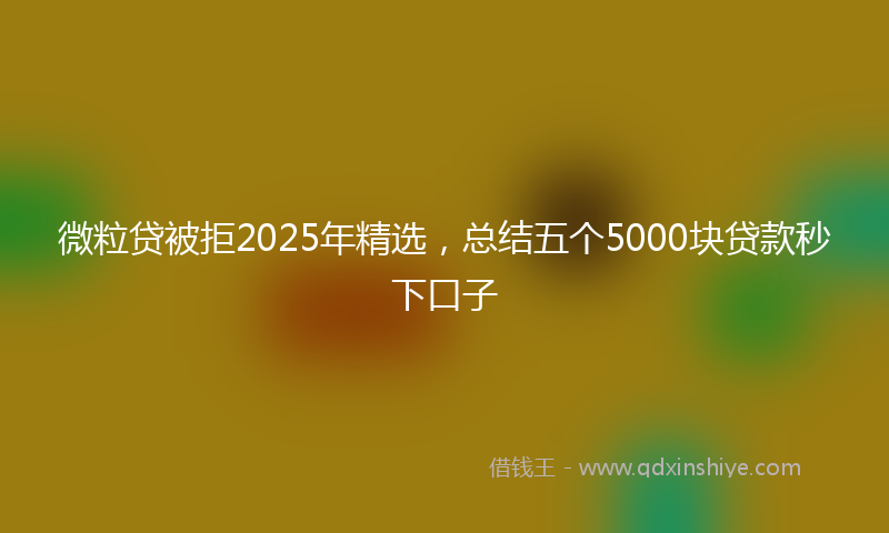 微粒贷被拒2025年精选，总结五个5000块贷款秒下口子