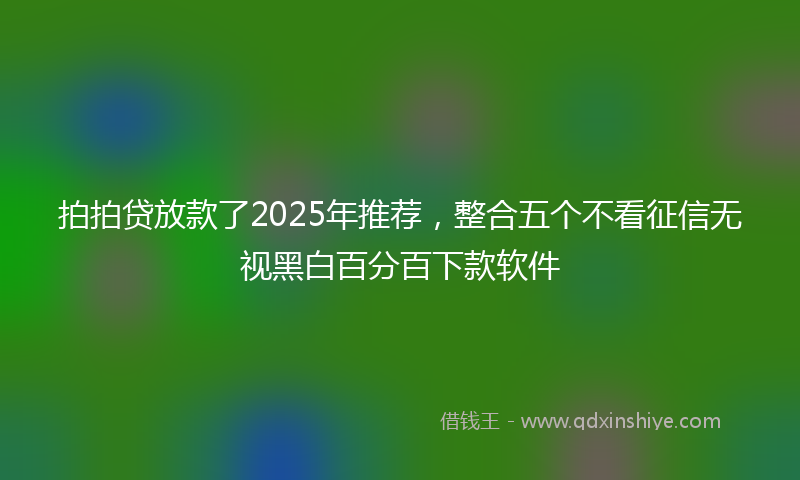拍拍贷放款了2025年推荐，整合五个不看征信无视黑白百分百下款软件