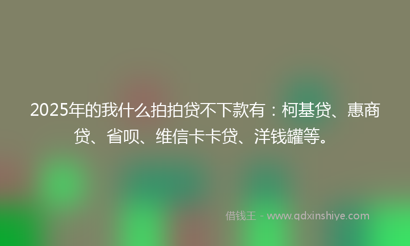 2025年的我什么拍拍贷不下款有：柯基贷、惠商贷、省呗、维信卡卡贷、洋钱罐等。