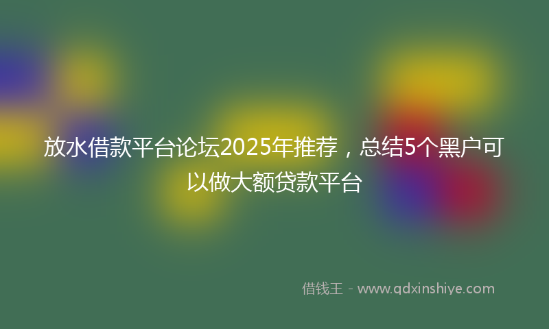 放水借款平台论坛2025年推荐，总结5个黑户可以做大额贷款平台
