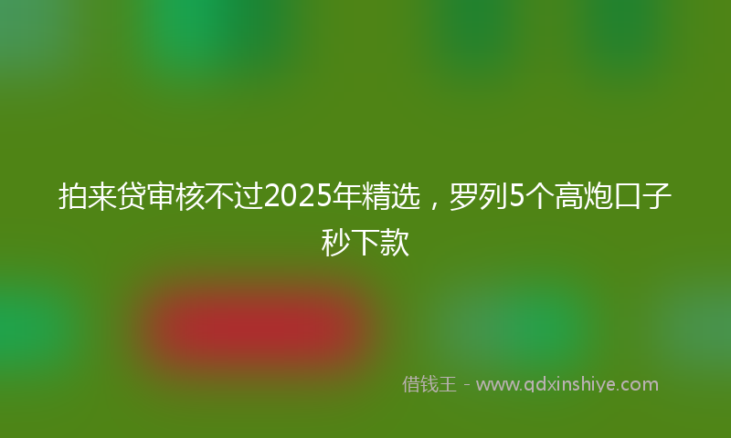 拍来贷审核不过2025年精选，罗列5个高炮口子秒下款