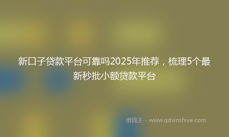 新口子贷款平台可靠吗2025年推荐，梳理5个最新秒批小额贷款平台