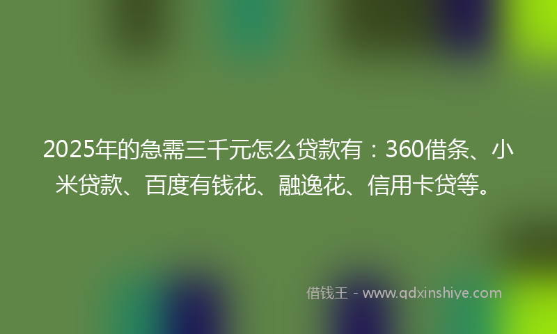 2025年的急需三千元怎么贷款有：360借条、小米贷款、百度有钱花、融逸花、信用卡贷等。
