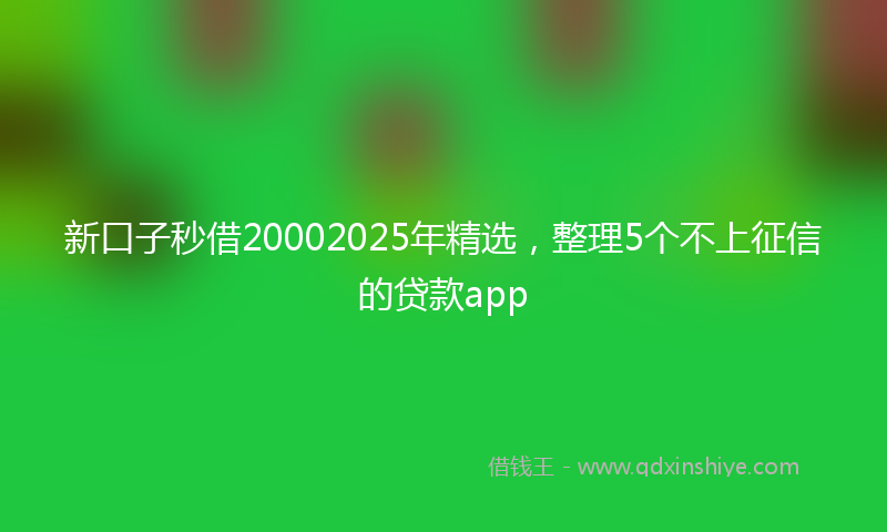 新口子秒借20002025年精选，整理5个不上征信的贷款app