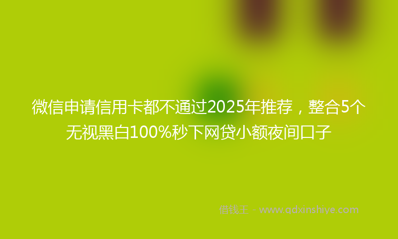 微信申请信用卡都不通过2025年推荐，整合5个无视黑白100%秒下网贷小额夜间口子