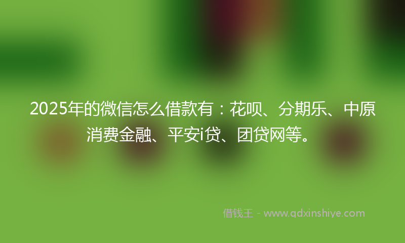 2025年的微信怎么借款有：花呗、分期乐、中原消费金融、平安i贷、团贷网等。