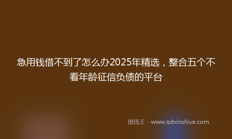 急用钱借不到了怎么办2025年精选，整合五个不看年龄征信负债的平台