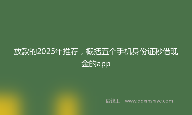 放款的2025年推荐，概括五个手机身份证秒借现金的app