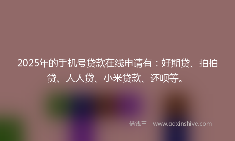 2025年的手机号贷款在线申请有：好期贷、拍拍贷、人人贷、小米贷款、还呗等。