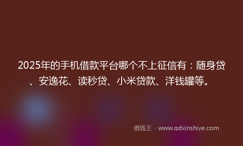 2025年的手机借款平台哪个不上征信有：随身贷、安逸花、读秒贷、小米贷款、洋钱罐等。