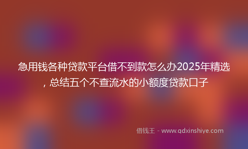 急用钱各种贷款平台借不到款怎么办2025年精选，总结五个不查流水的小额度贷款口子