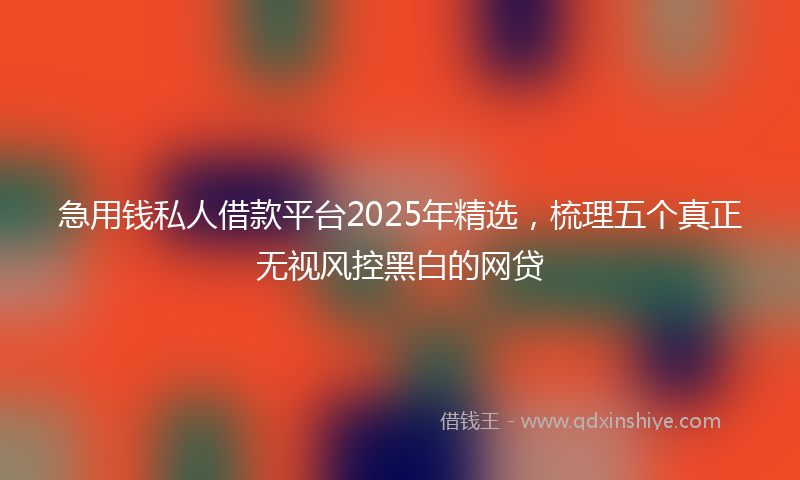 急用钱私人借款平台2025年精选，梳理五个真正无视风控黑白的网贷