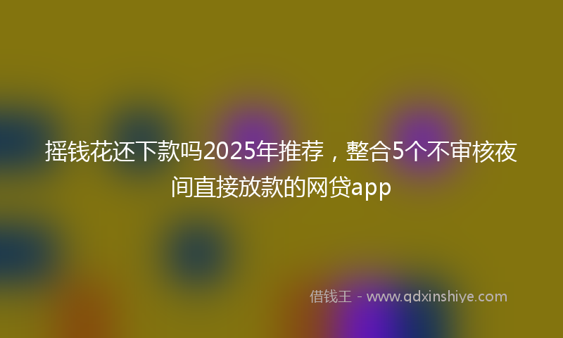 摇钱花还下款吗2025年推荐，整合5个不审核夜间直接放款的网贷app