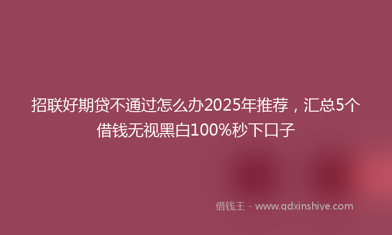 招联好期贷不通过怎么办2025年推荐，汇总5个借钱无视黑白100%秒下口子