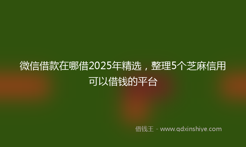 微信借款在哪借2025年精选，整理5个芝麻信用可以借钱的平台
