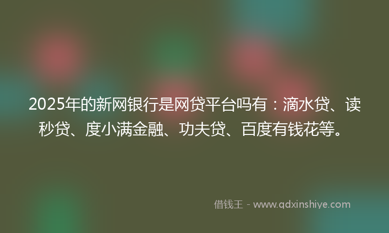 2025年的新网银行是网贷平台吗有：滴水贷、读秒贷、度小满金融、功夫贷、百度有钱花等。