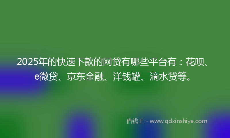 2025年的快速下款的网贷有哪些平台有：花呗、e微贷、京东金融、洋钱罐、滴水贷等。