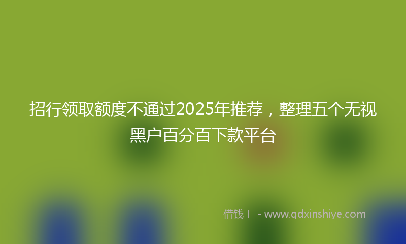 招行领取额度不通过2025年推荐，整理五个无视黑户百分百下款平台