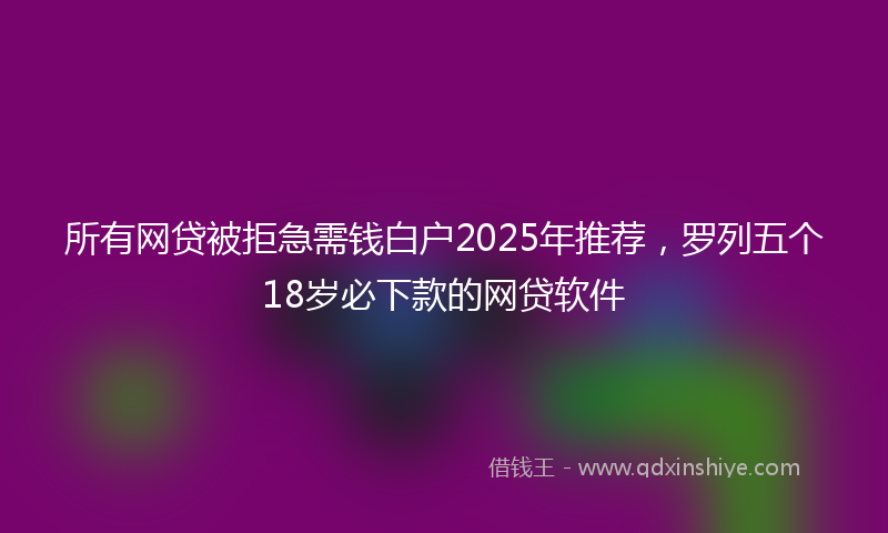 所有网贷被拒急需钱白户2025年推荐，罗列五个18岁必下款的网贷软件