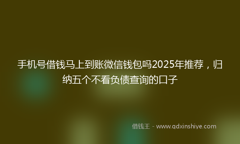 手机号借钱马上到账微信钱包吗2025年推荐，归纳五个不看负债查询的口子