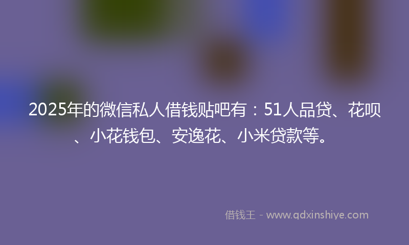 2025年的微信私人借钱贴吧有：51人品贷、花呗、小花钱包、安逸花、小米贷款等。