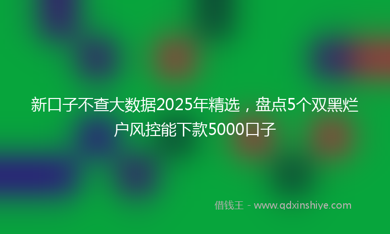 新口子不查大数据2025年精选，盘点5个双黑烂户风控能下款5000口子