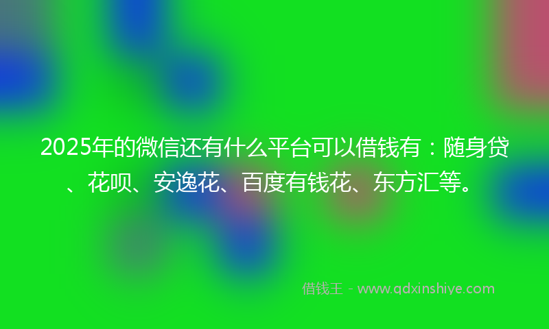 2025年的微信还有什么平台可以借钱有：随身贷、花呗、安逸花、百度有钱花、东方汇等。