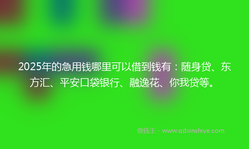 2025年的急用钱哪里可以借到钱有：随身贷、东方汇、平安口袋银行、融逸花、你我贷等。