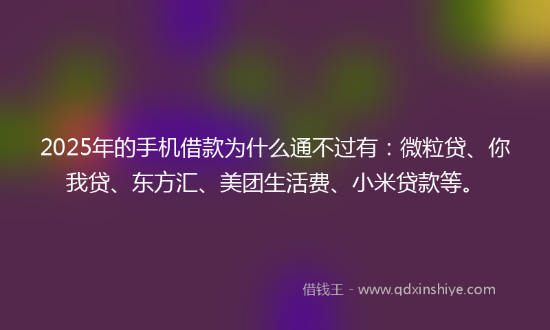 2025年的手机借款为什么通不过有：微粒贷、你我贷、东方汇、美团生活费、小米贷款等。