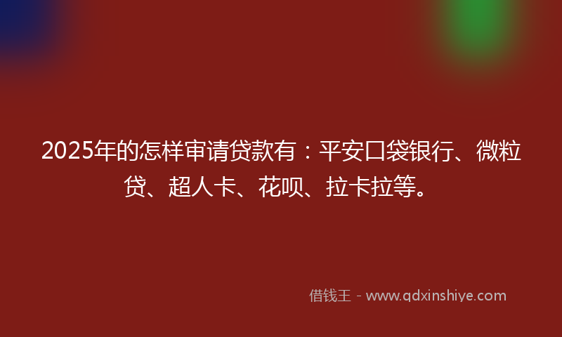 2025年的怎样审请贷款有：平安口袋银行、微粒贷、超人卡、花呗、拉卡拉等。