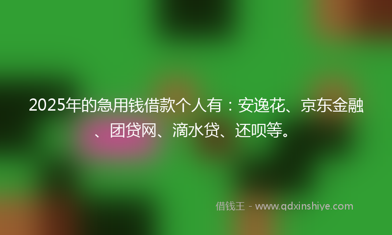 2025年的急用钱借款个人有：安逸花、京东金融、团贷网、滴水贷、还呗等。