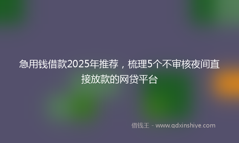 急用钱借款2025年推荐，梳理5个不审核夜间直接放款的网贷平台