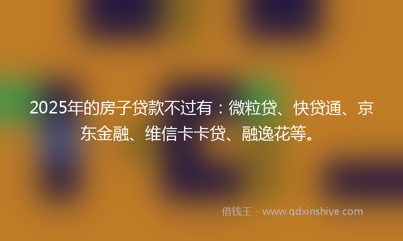2025年的房子贷款不过有：微粒贷、快贷通、京东金融、维信卡卡贷、融逸花等。