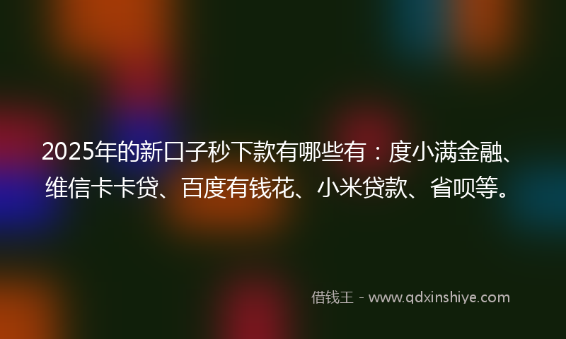 2025年的新口子秒下款有哪些有：度小满金融、维信卡卡贷、百度有钱花、小米贷款、省呗等。